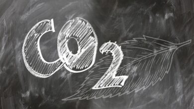 SEC утвердил требования по раскрытию информации о выбросах парниковых газов